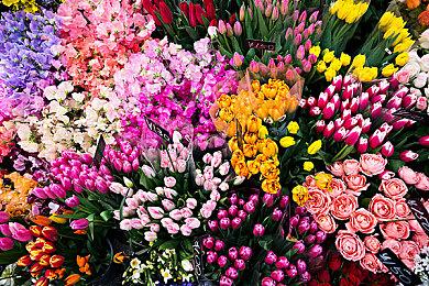 《The Midnight Walk》Steam页面 暂不支持中文